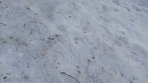 Печь на дровах в зимнюю палатку своими руками