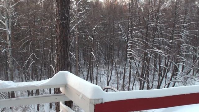 Стартап-проект "Туристическая тропа в Национальном парке Бузулукский бор" смотреть онлайн