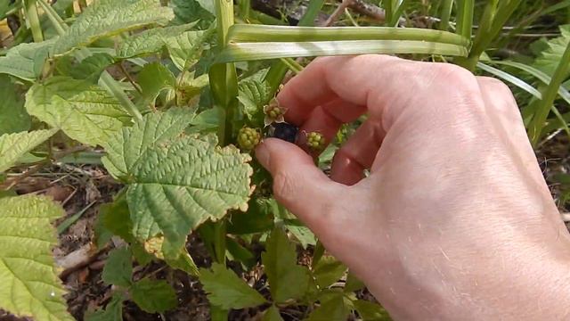 lustiges angeln in russland / Смешная рыбалка на Каме смотреть онлайн