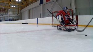 Позиционная игра хоккейного вратаря в воротах