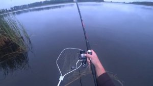 Трофейный САЗАН на Кукурузу.