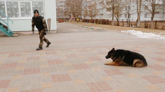 Профессия2