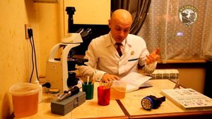 Какой Мёд самый лучший Что за Мёд победил Какой он Мёд победитель