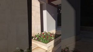 Отель Мирада Дель Мар 5* Кемер, Турция, 23.06.2021, территория