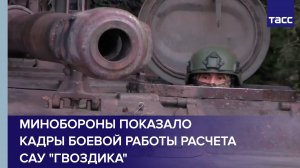 Минобороны показало кадры боевой работы расчета САУ "Гвоздика"