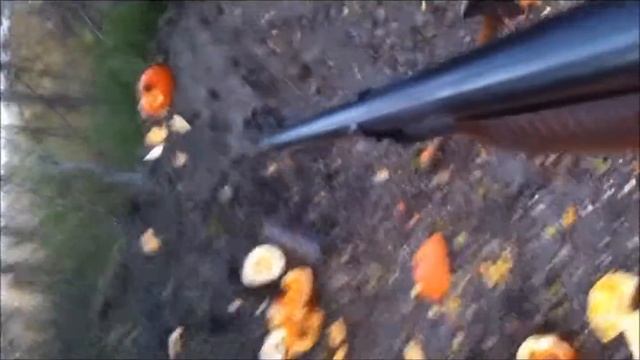 Pumpkin Chunkin.... Counter Strike FPS смотреть онлайн