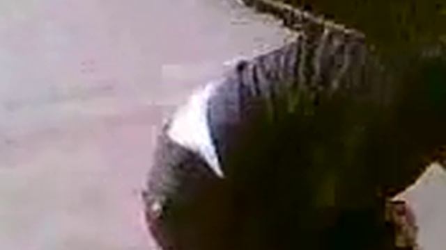 nektonik круто.. или ШТАНЫ смотреть онлайн