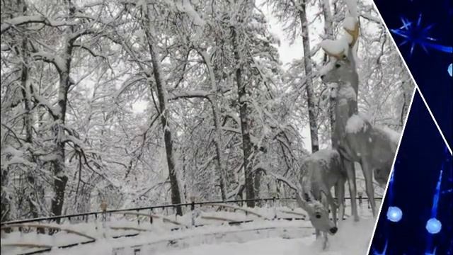 Чудеса под Новый год. Чудеса случаются смотреть онлайн