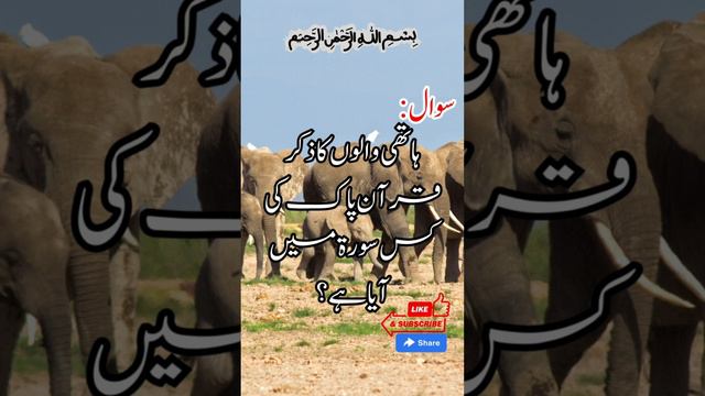 Islamic Urdu Question Answers | Mention of Elephants in the Quran? | General Knowledge Questions