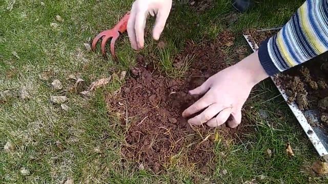 Как избавиться от следов крота на газоне? самый эффективный способ... смотреть онлайн