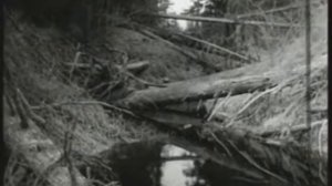 Золотая баба 1968 год