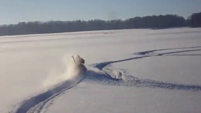 Снегоход Тайга в поле смотреть онлайн