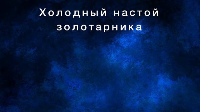 Все о траве Золотарник обыкновенный от Здравницы Полынь