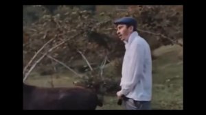 Серго и Ишак..