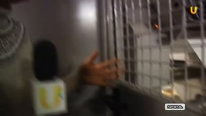 U-News. Как печатают газеты