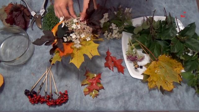 Осенние композиции. Чем можно заменить однолетние цветы осенью? Композиции из декоративной тыквы смотреть онлайн