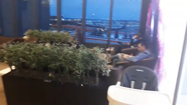 Бизнес зал в шереметьево смотреть онлайн