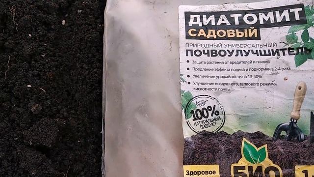 ЧТО КЛАДУ В ЛУНКУ ПРИ ПОСАДКЕ #ТОМАТОВ