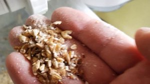 Какой должен быть помол солода