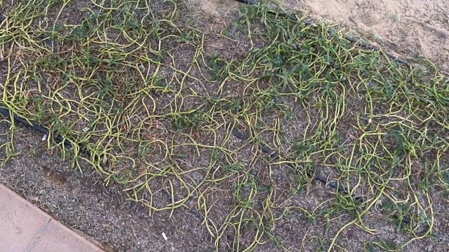 Путешествие с друзьями в Дубай и Абу-Даби. Часть 2. смотреть онлайн