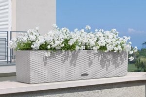 Кашпо для цветов ? LECHUZA BALCONERA Cottage 80 с автополивом ? #lechuzamoscow #автополив