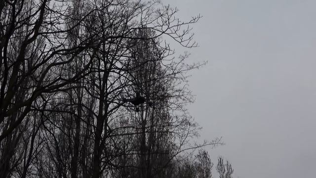 DJI TELLO il DRONE low cost ANTEPRIMA смотреть онлайн