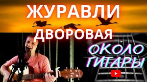 Красивая дворовая песня под гитару "Журавли" (стихи В.Раменский)