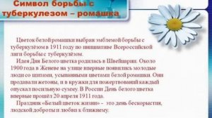 Урок Доброты , акция Белый цветок
