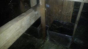 Поилки для быков