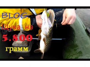 Часть№2 Карелия,Бабье озеро поймали щуку на 5 кг 800 гр Indian Lake pike caught at 5 kg 800 g