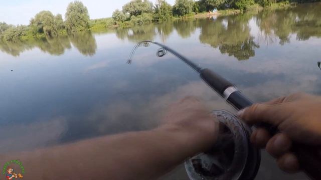 Рыбалка на карпа. Открытие сезона. Ловля карпа на макуху. смотреть онлайн