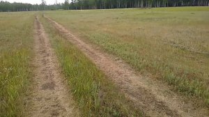 Первое большое велопутешествие на Octane one Kode. 1379км. Север Омской области. Ч. 1. 1,2,3 день.