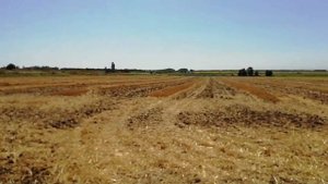 НЕУДАЧНЫЙ сенокос, но зато ЭКО СОЛОМА  Прессуем сено, солому.