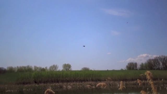 Sony Handycam HDR-CX440 Recording (The beauty of Nature videography ) смотреть онлайн