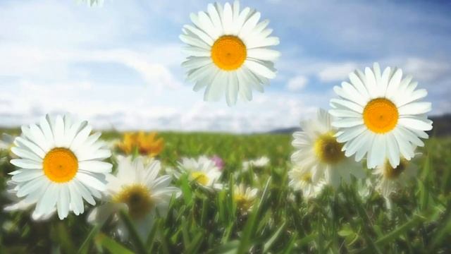 Праздник матерей- КАРАОКЕ смотреть онлайн