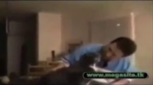 Говорящие коты Супер ржач