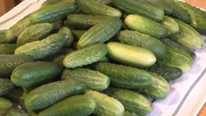 Сладкие маринованные огурцы - рецепт на зиму, хрустящие