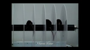 В США проведены испытания воды очищенной с помощью фильтров Виктора Петрика.