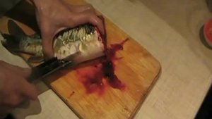 Cold steel leatherneck tanto чистка зеркального карпа
