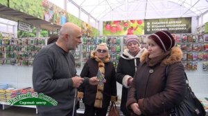 Вопросы, желтые пятна на листьях ремонтантной малины