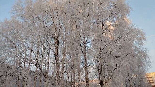 ЗИМНАЯ КРАСОТА СЕВЕРА