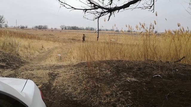 Зимняя рыбалка на ЖЕРЛИЦЫ по первому льду. Зимняя рыбалка в Астрахани на мормышку открытие сезона. смотреть онлайн