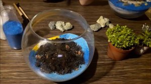 Флорариум с нуля в домашних условиях. Остров.
