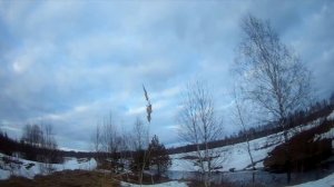 Самодельный манок на гуменника! Звук манка!