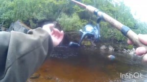 Трофейный хариус в небольшом горном ручье Якутии.