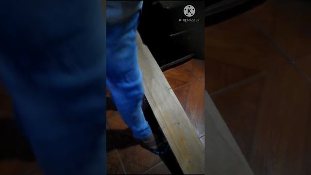 proyecto de fisica/kevin Morán/1ero BGU "B" смотреть онлайн