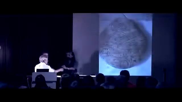 Инопланетяне это великие ангелы Бога. Основатели религий в мире. НЛОнавты. НЛО и Ватикан. смотреть онлайн