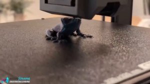 Creality3D Ender 3 V3 KE - Crealitys erster Klipper Drucker!