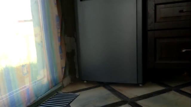 Афет - хорёк-полоскун (Ferret Afet splashing) смотреть онлайн