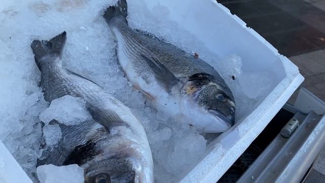 КУПИЛИ ОГРОМНУЮ РЫБУ, ОБЗОР МАГАЗИНА КАРФУР CARREFOUR ANTALYA | Irina Belaja смотреть онлайн